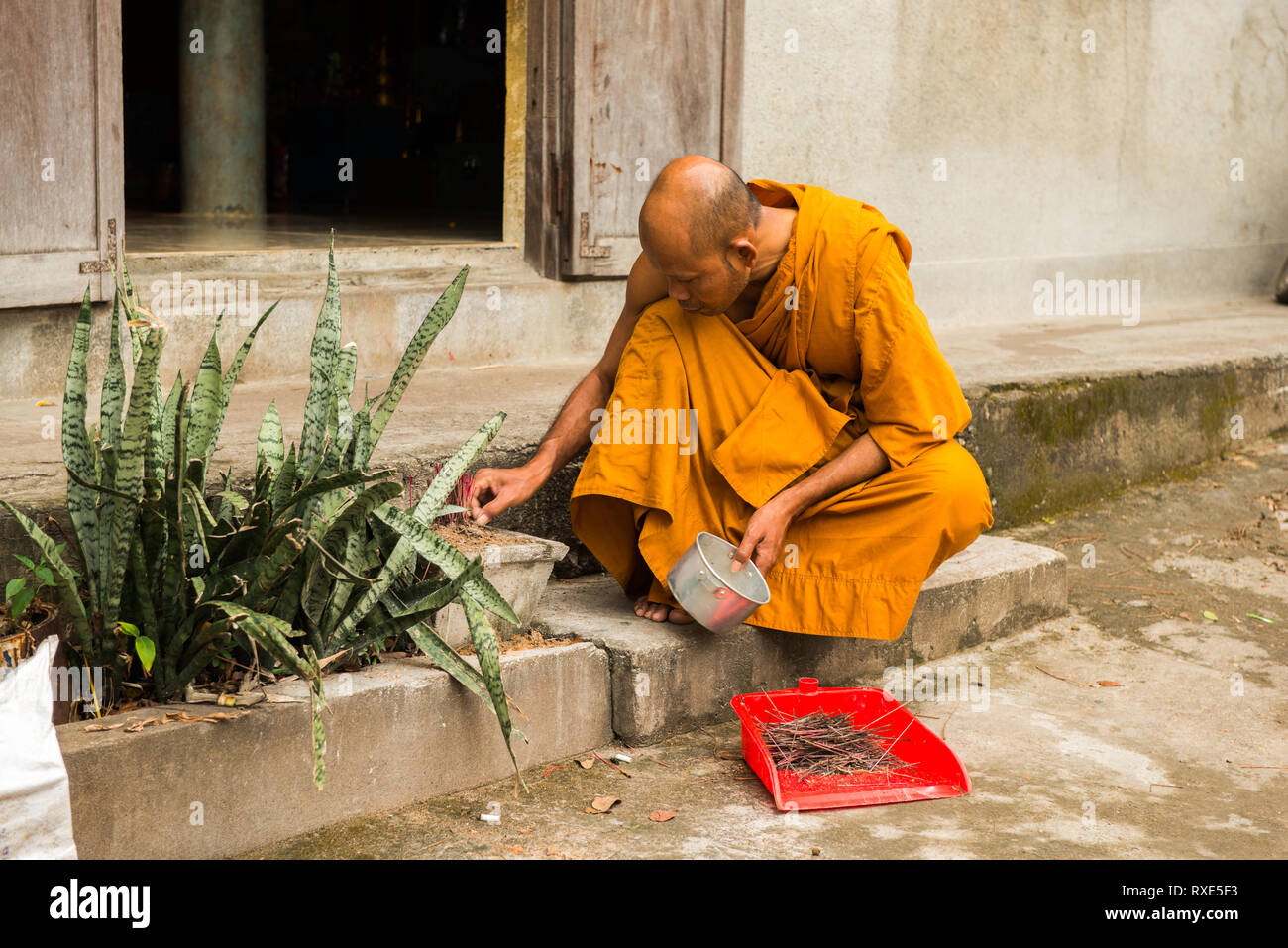 Buddhistische Mönche in Kambodscha Stockfoto