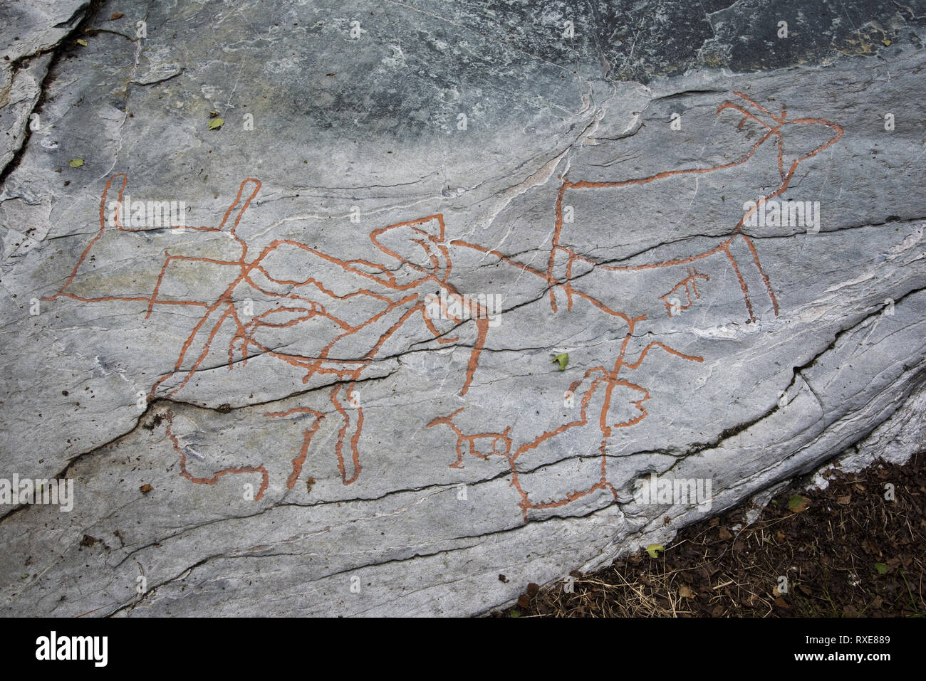 Fast 7000 Jahren stoneage Fischer und Rentier Hirten berühmt Grabergan Felszeichnungen in der Nähe von Tennes in Balsfjord in Nordnorwegen. Stockfoto