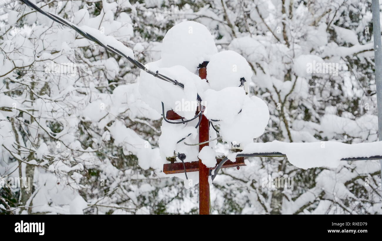 A-Post mit viel Schnee bedeckt. Die dicken Schnee kommt aus dem Schnee im Winter in Estland Stockfoto