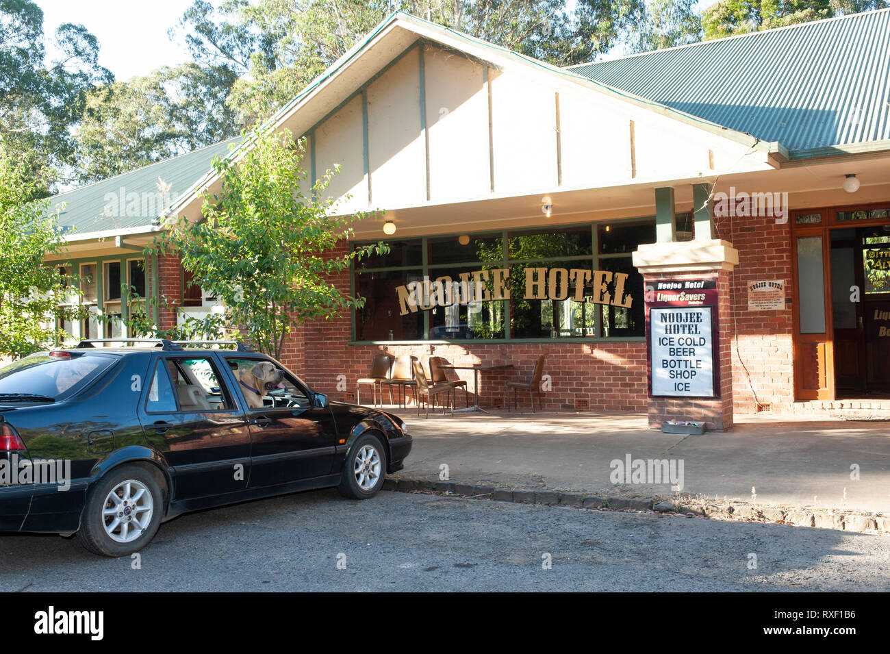 Hund auf dem Beifahrersitz eines Autos wartet auf seinen Besitzer, der in der Kneipe ist. Noojee Hotel, Victoria, Australien Stockfoto