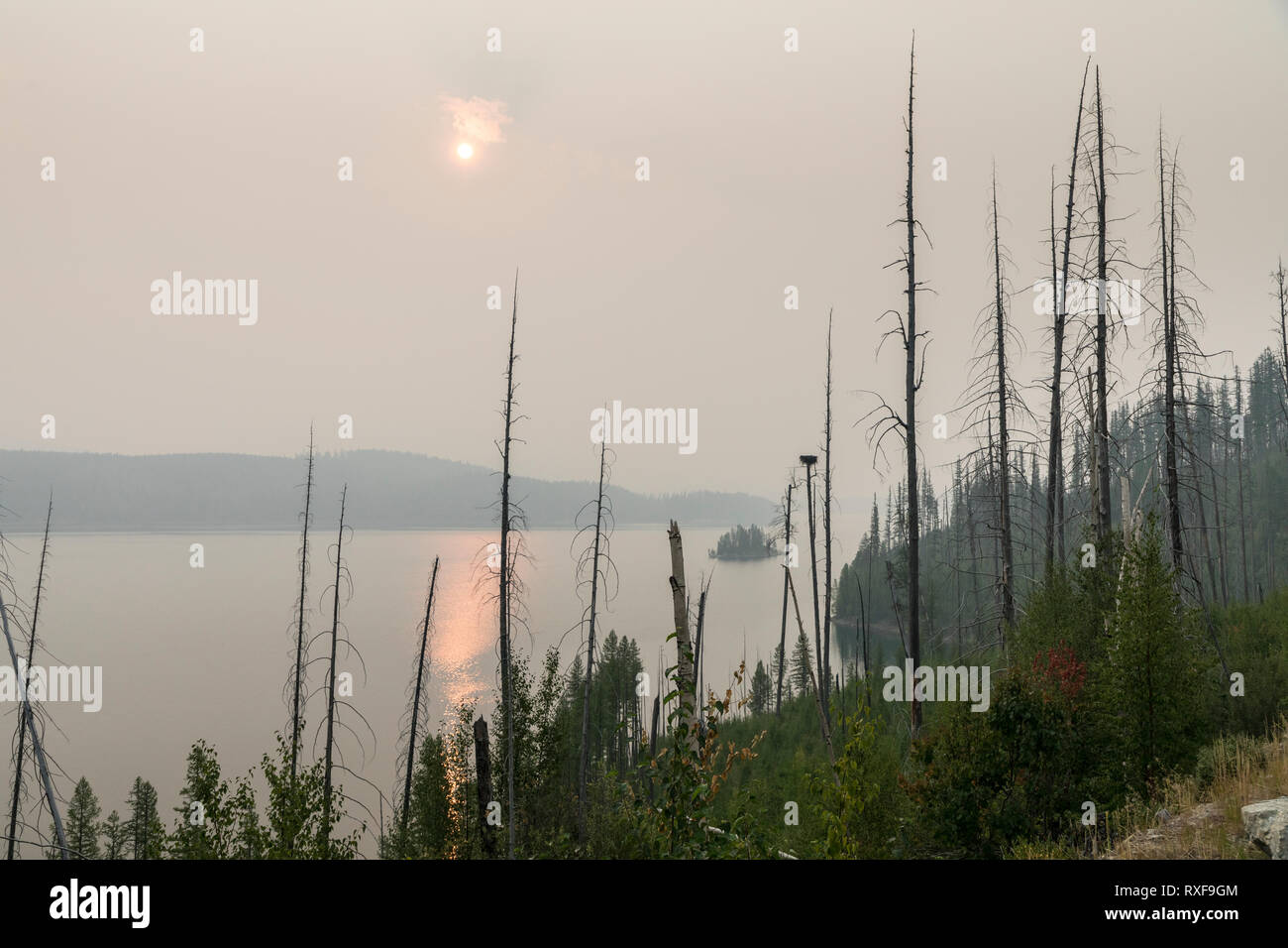 Hungry Horse Reservoir, Flathead National Forest, Montana, USA Stockfoto