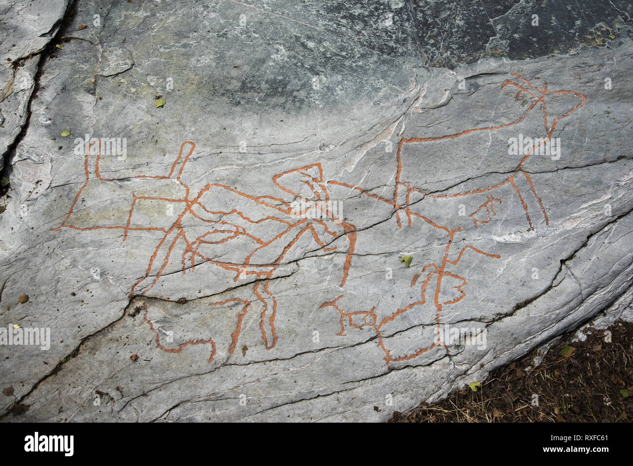 Fast 7000 Jahren stoneage Fischer und Rentier Hirten berühmt Grabergan Felszeichnungen in der Nähe von Tennes in Balsfjord in Nordnorwegen. Stockfoto