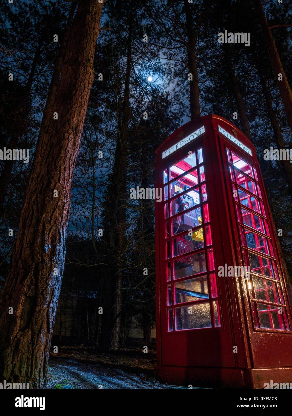 Eine rote Telefonzelle beleuchtet in der Nacht in einem Wald in England Stockfoto