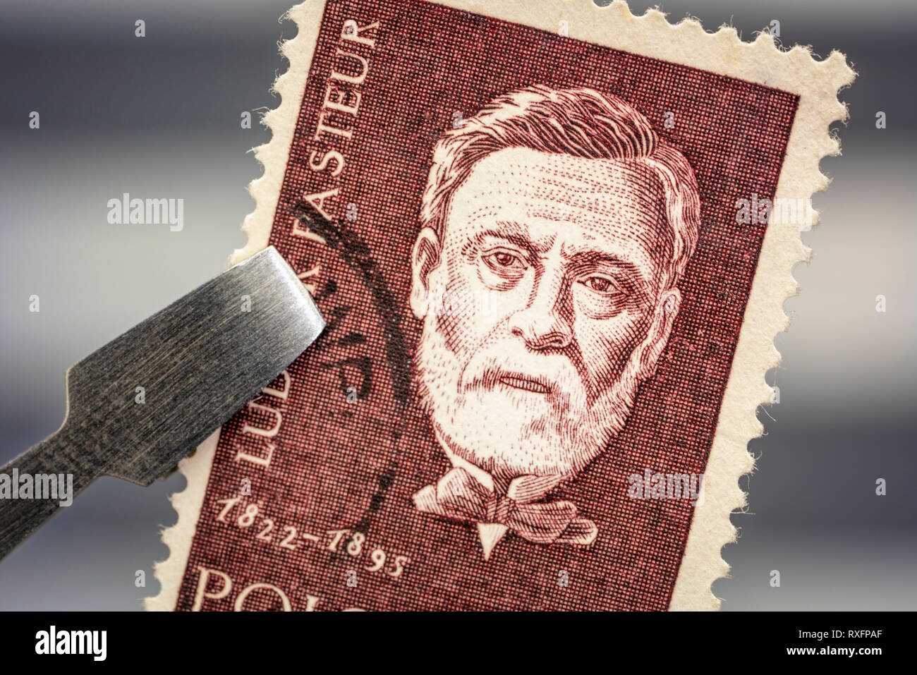 Porträt von Louis Pasteur, französischer Chemiker und Mikrobiologe, auf einen Jahrgang, Abgebrochen post Stempel aus Polen von Tweezer über eine Seite mit Stempel Albu Stockfoto