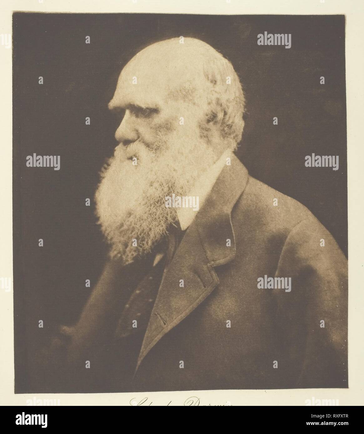 Charles Darwin. Julia Margaret Cameron; Englisch, 1815-1879. Datum: 1868. Abmessungen: 22 x 19,5 cm (Bild); 45,2 × 37,2 cm (album Seite). Photogravüre, Platte 17 aus dem Album 'Lord Tennyson und seine Freunde" (1893), Ausgabe 138/140. Herkunft: England. Museum: Das Chicago Art Institute. Stockfoto