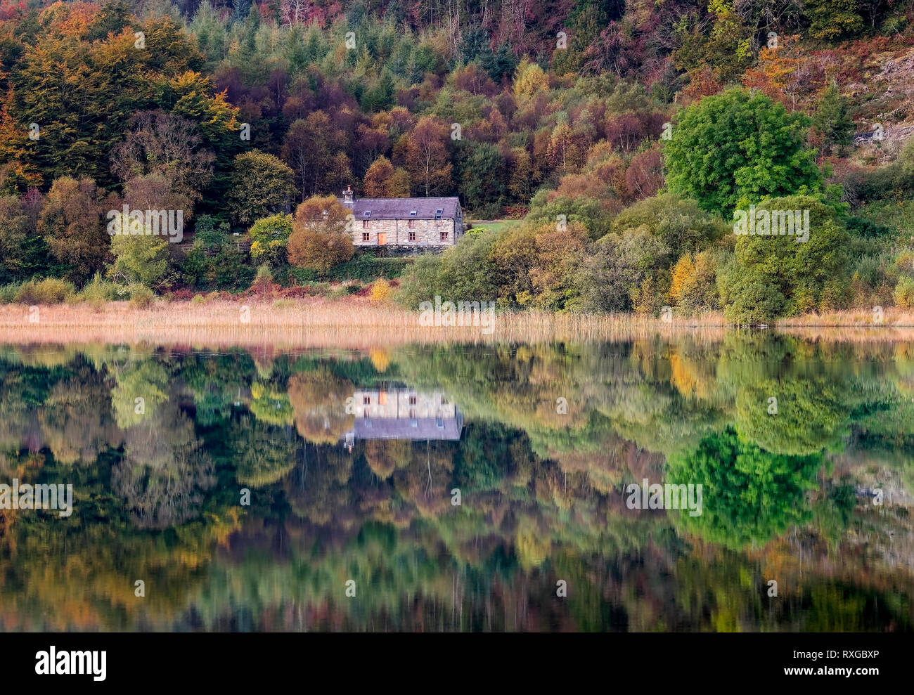Perfekte Spiegelungen in Llyn Geirionydd, in der Nähe von Trefriw, Conwy County Borough, Snowdonia National Park, North Wales, UK Stockfoto