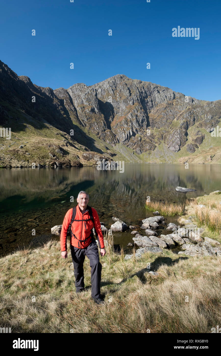 Walker am Llyn Cau gesichert durch Craig Cau, Cadair Idris, Snowdonia National Park, North Wales, UK MODEL RELEASED Stockfoto