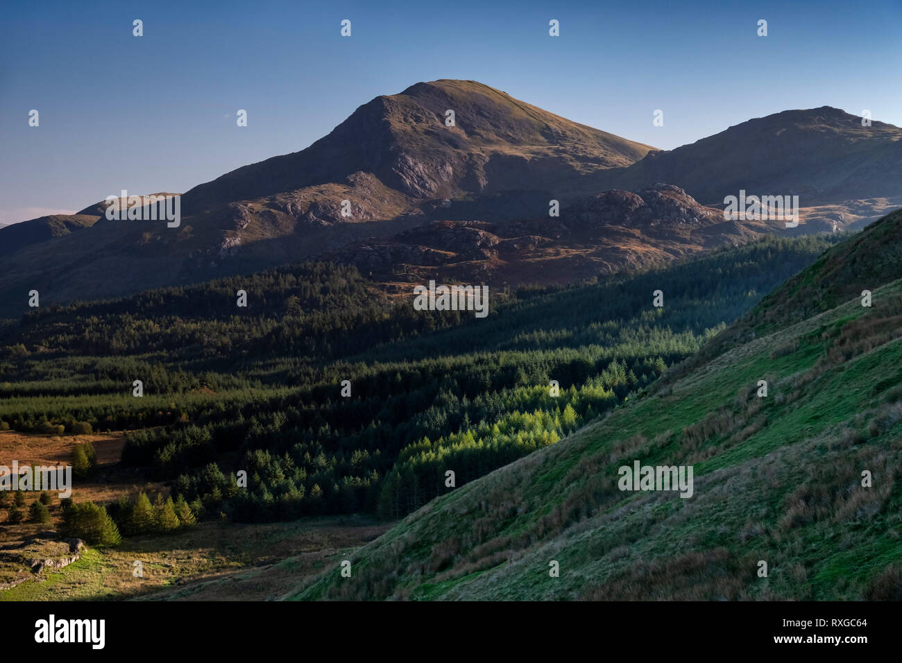 Moel Hebog und Beddgelert Wald, Snowdonia National Park, Gwynedd, Wales, Großbritannien Stockfoto