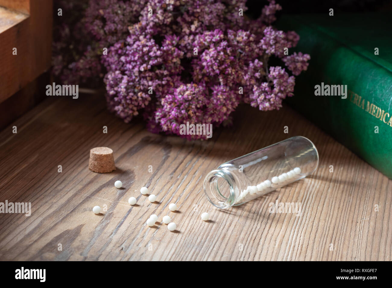 Eine Flasche homöopathische Tabletten mit getrockneten Kräutern und eine Materia medica, d. h. eine Liste der Abhilfemaßnahmen und ihren therapeutischen Eigenschaften Stockfoto