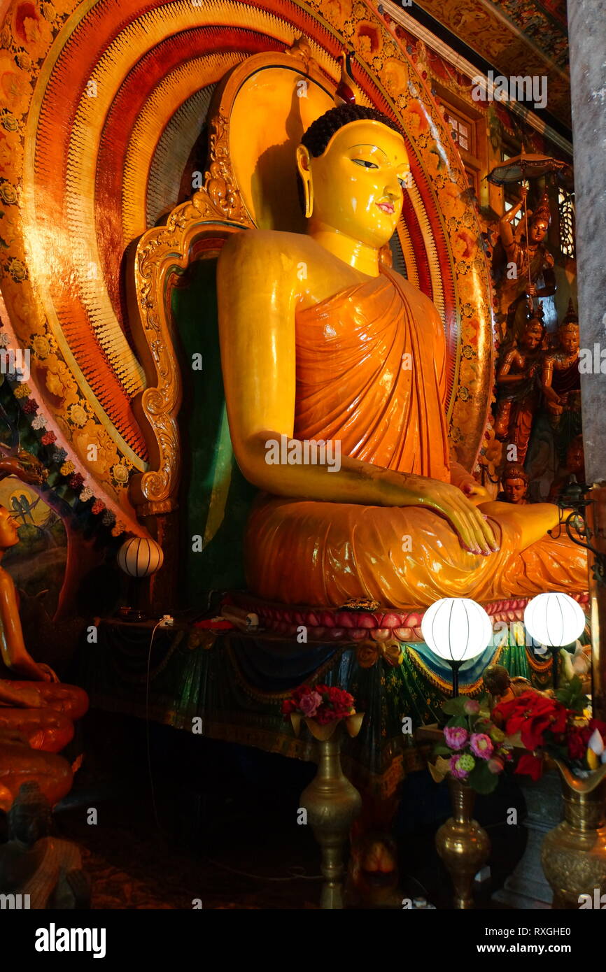 Sitzender Buddha Statue an gangaramaya Tempel, Colombo, Sri Lanka, Asien Stockfoto