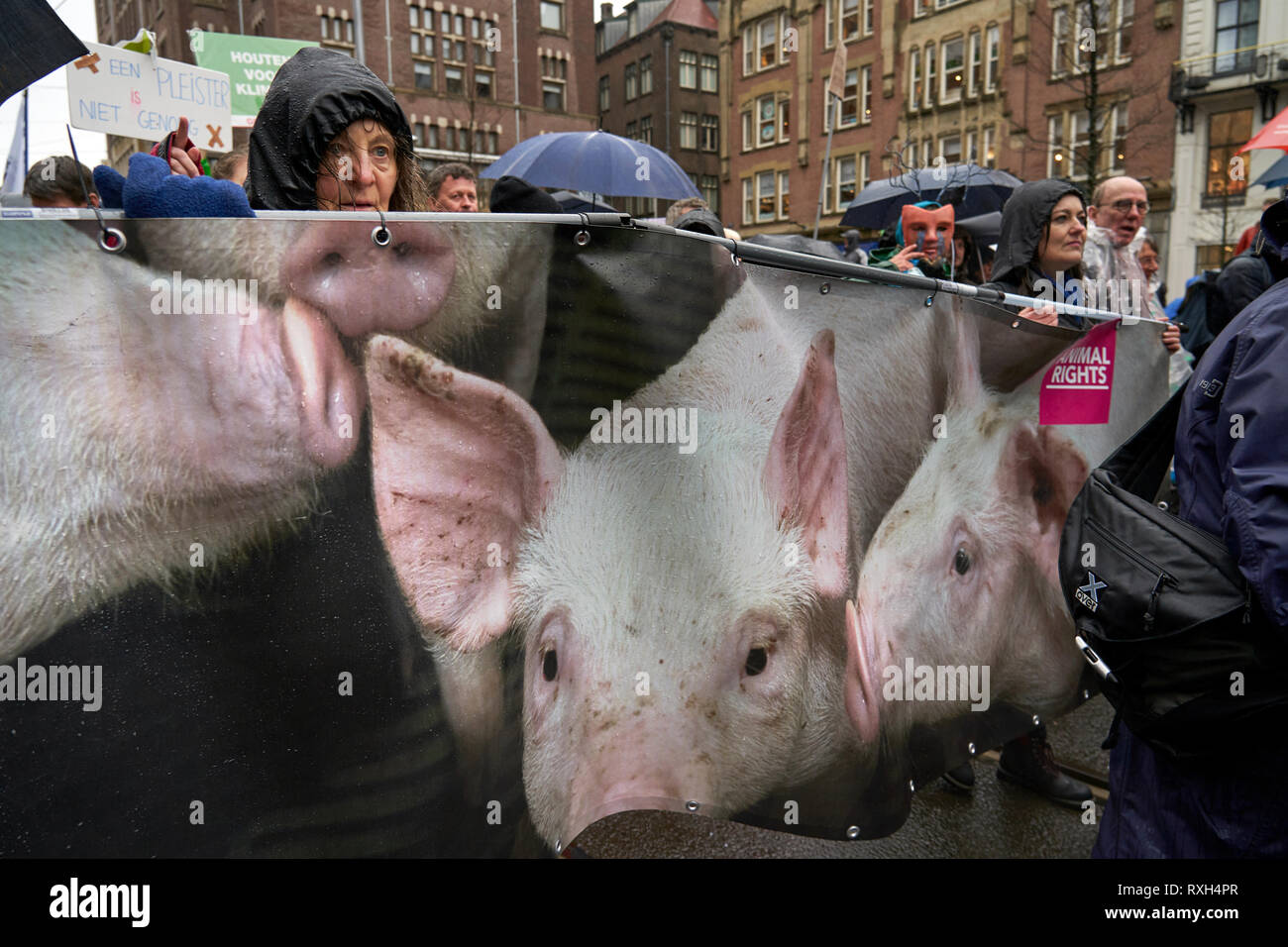 Die Tierschützer nehmen teil, die in der März. Die von der bürgerlichen Vereinigungen und NRO beschworen wurde, Tausende von Menschen demonstrierten heute in Amsterdam zu verlangen, dass die Regierungen entscheidend in die angesichts der immer drohenden Gefahr des Klimawandels handeln. Stockfoto