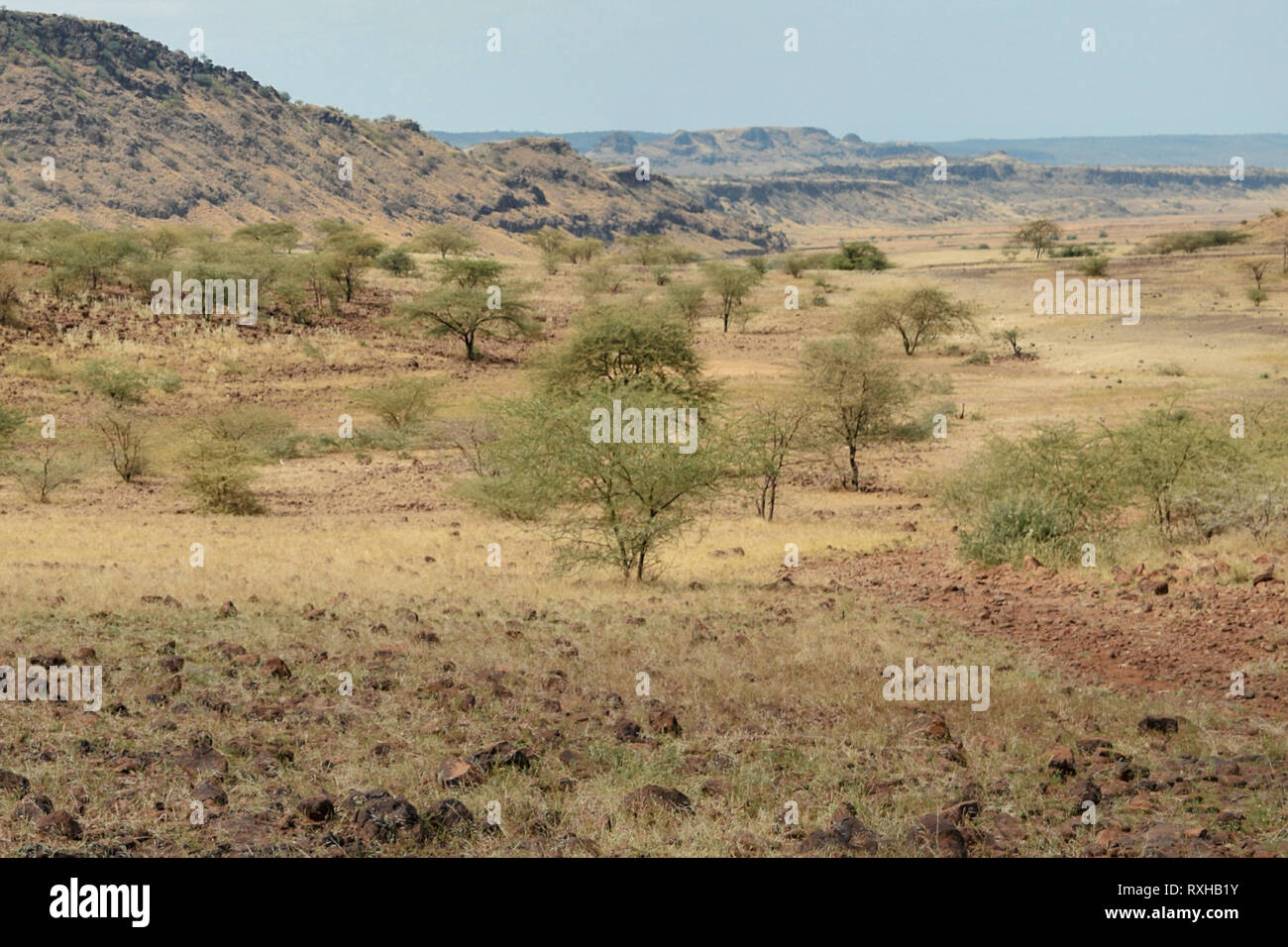 Der ariden Landschaft des Lake Magadi, Kenia Stockfoto