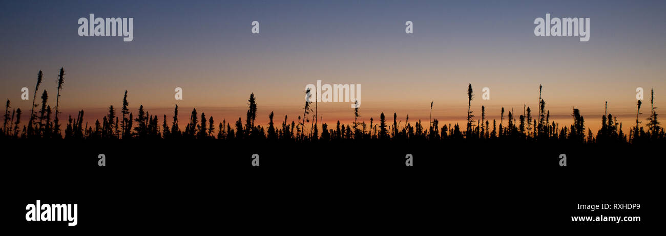 Ortstyp de Baie-James, Eeyou Istchee James Bay, Quebec, Kanada Stockfoto