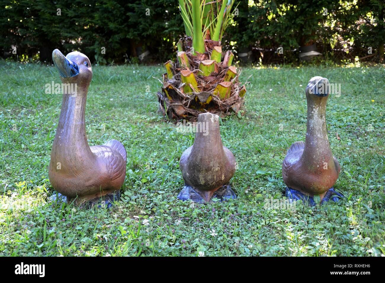 Drei Statuen von Enten auf dem Gras, eine ohne Kopf Stockfoto