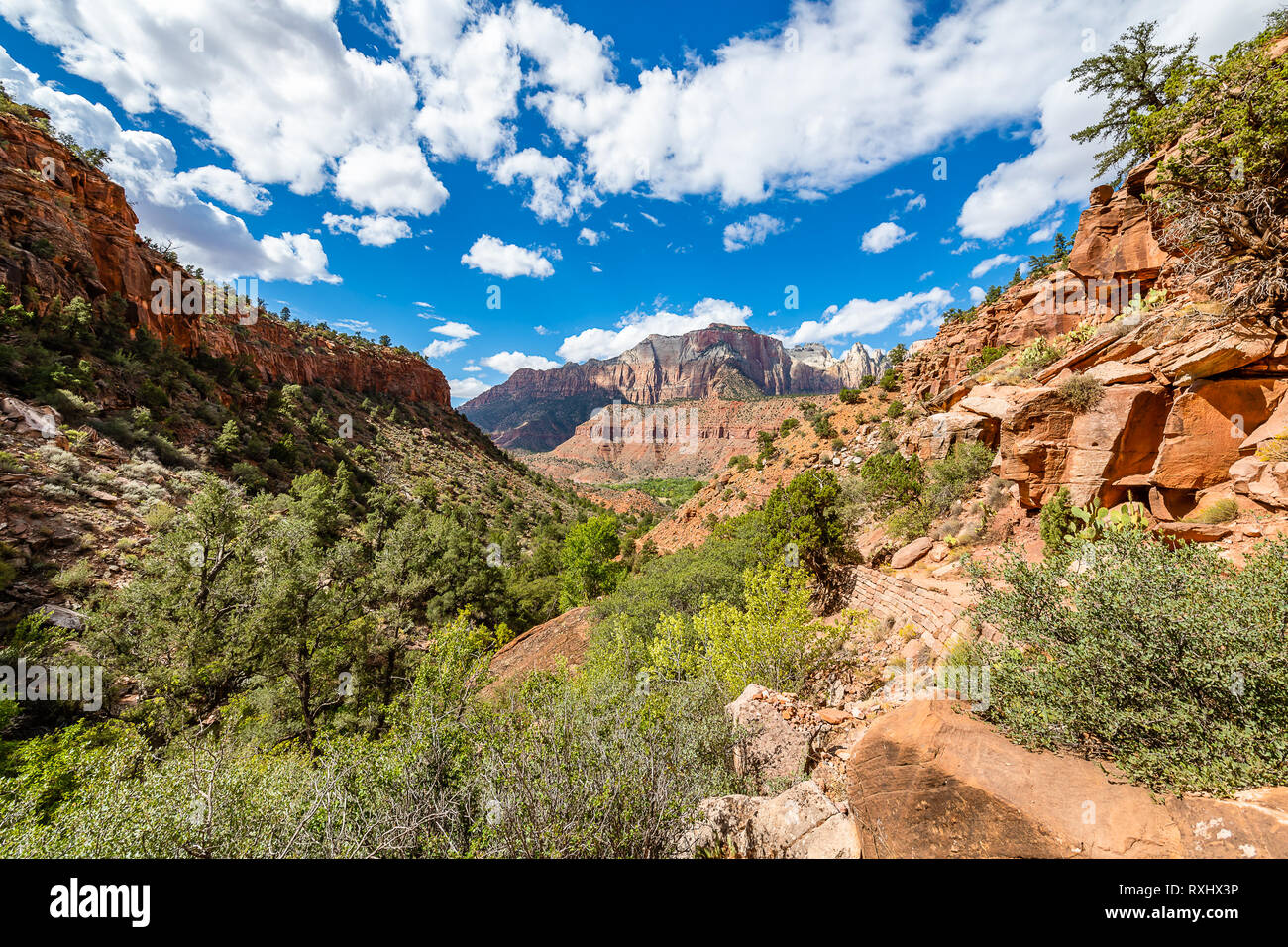 Zion Nationalpark, Utah Stockfoto