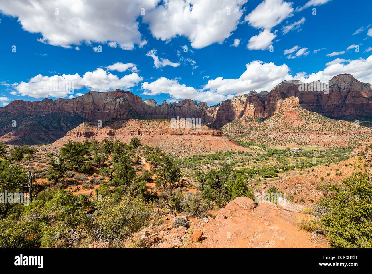 Zion Nationalpark, Utah Stockfoto