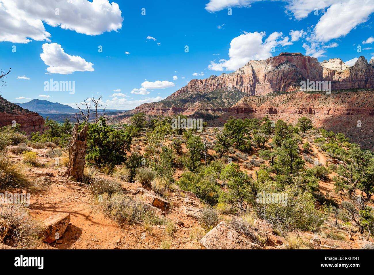 Zion Nationalpark, Utah Stockfoto