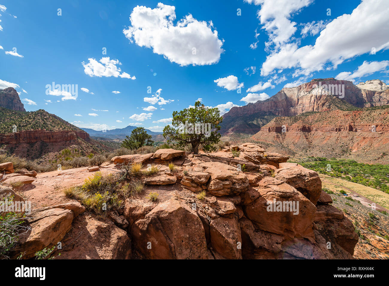 Zion Nationalpark, Utah Stockfoto