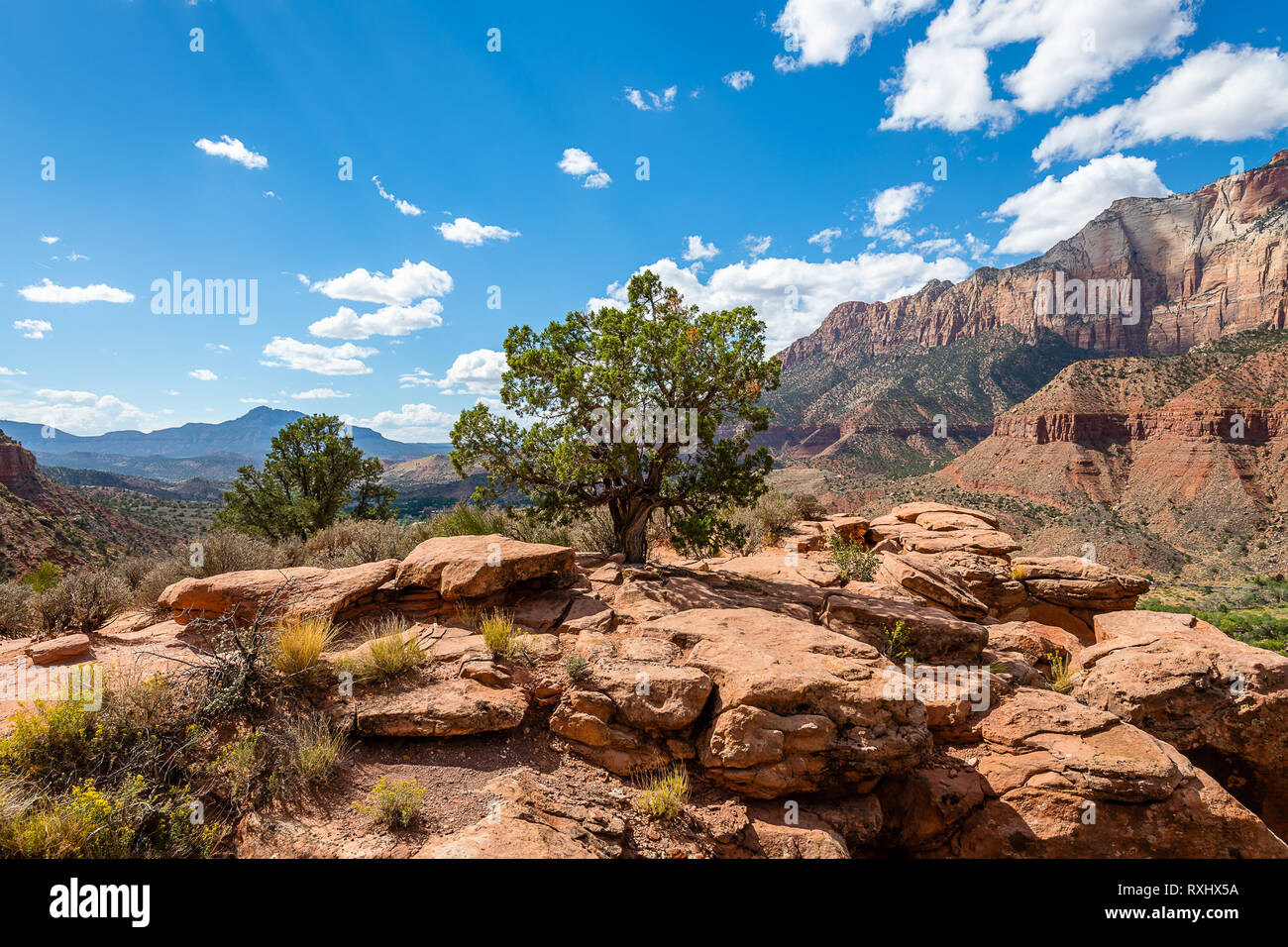 Zion Nationalpark, Utah Stockfoto