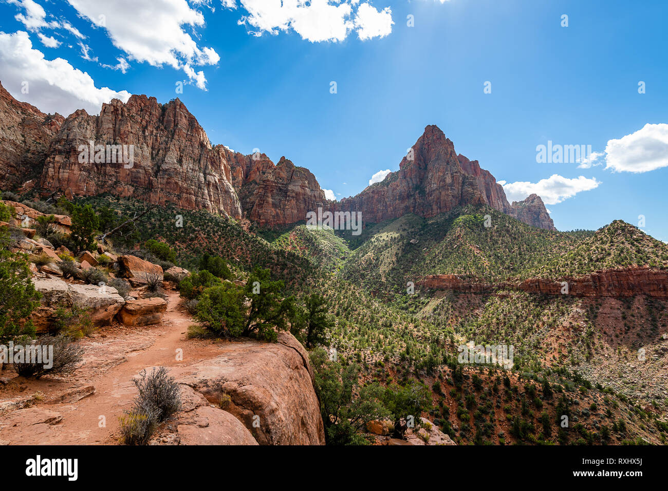 Zion Nationalpark, Utah Stockfoto