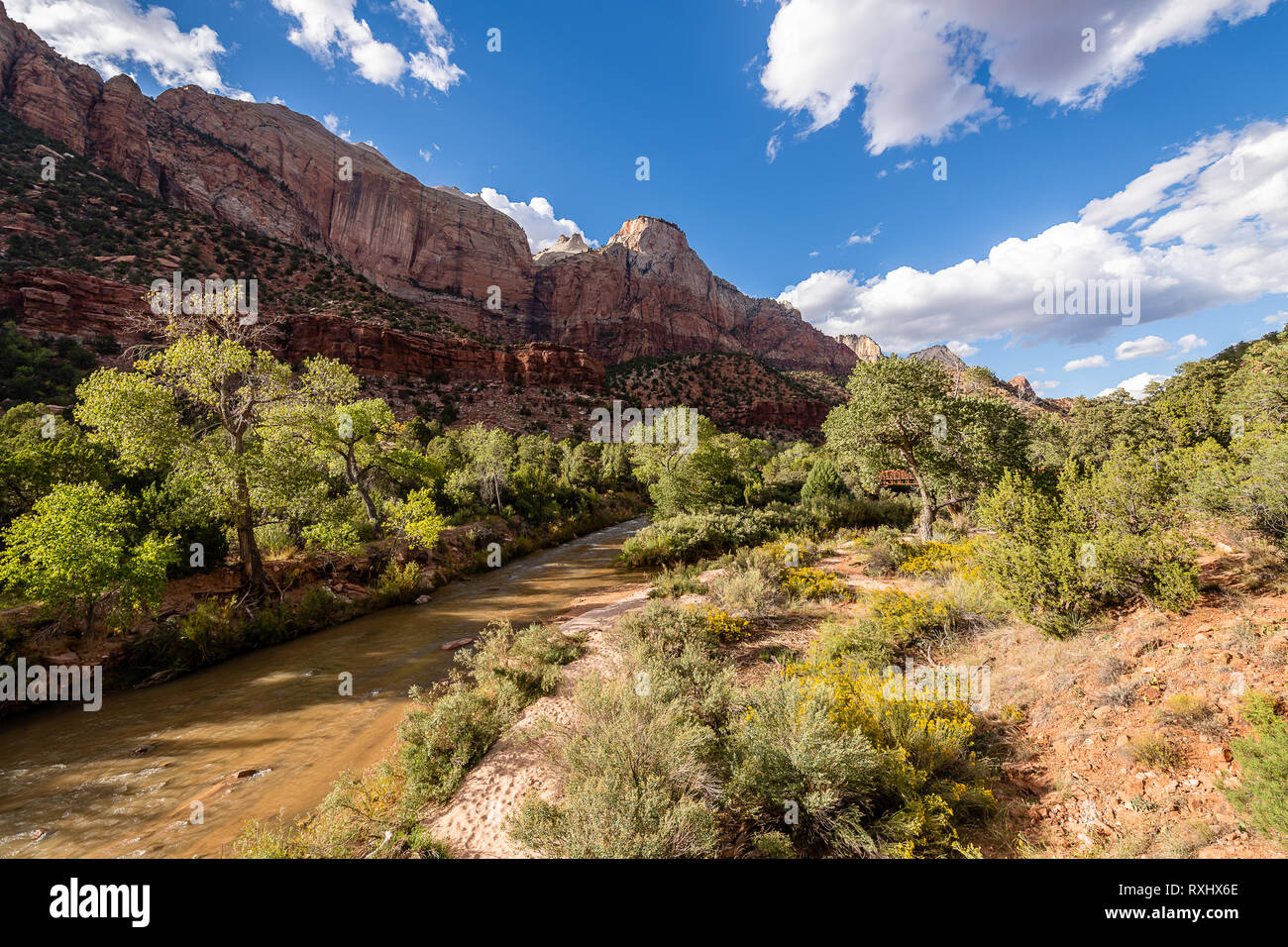 Zion Nationalpark, Utah Stockfoto
