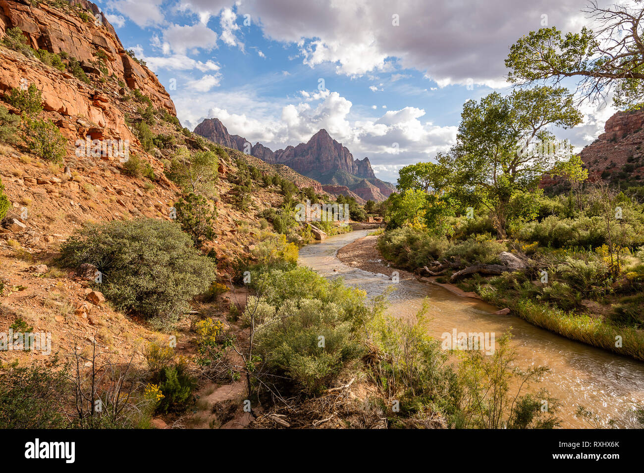 Zion Nationalpark, Utah Stockfoto