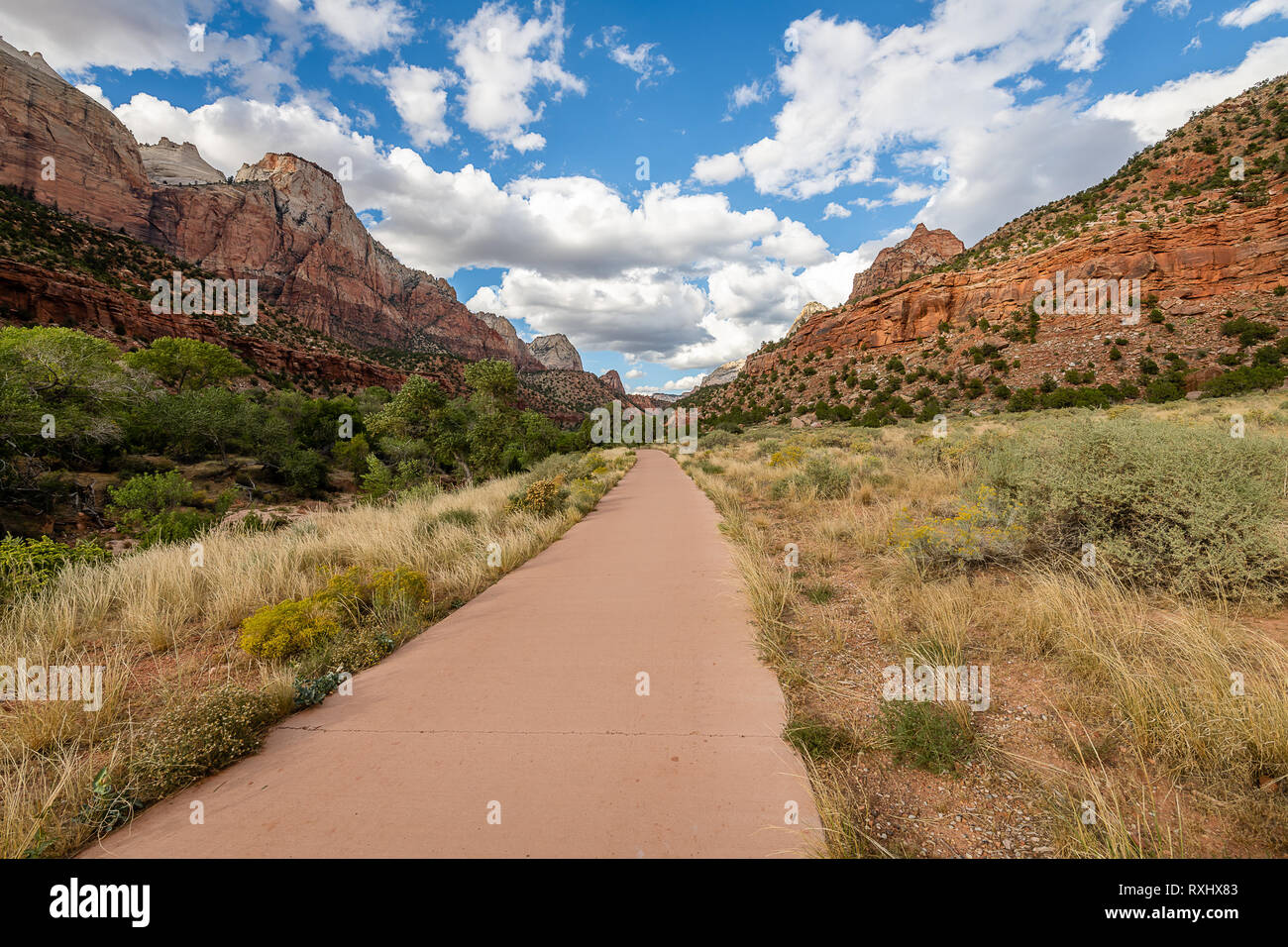 Zion Nationalpark, Utah Stockfoto