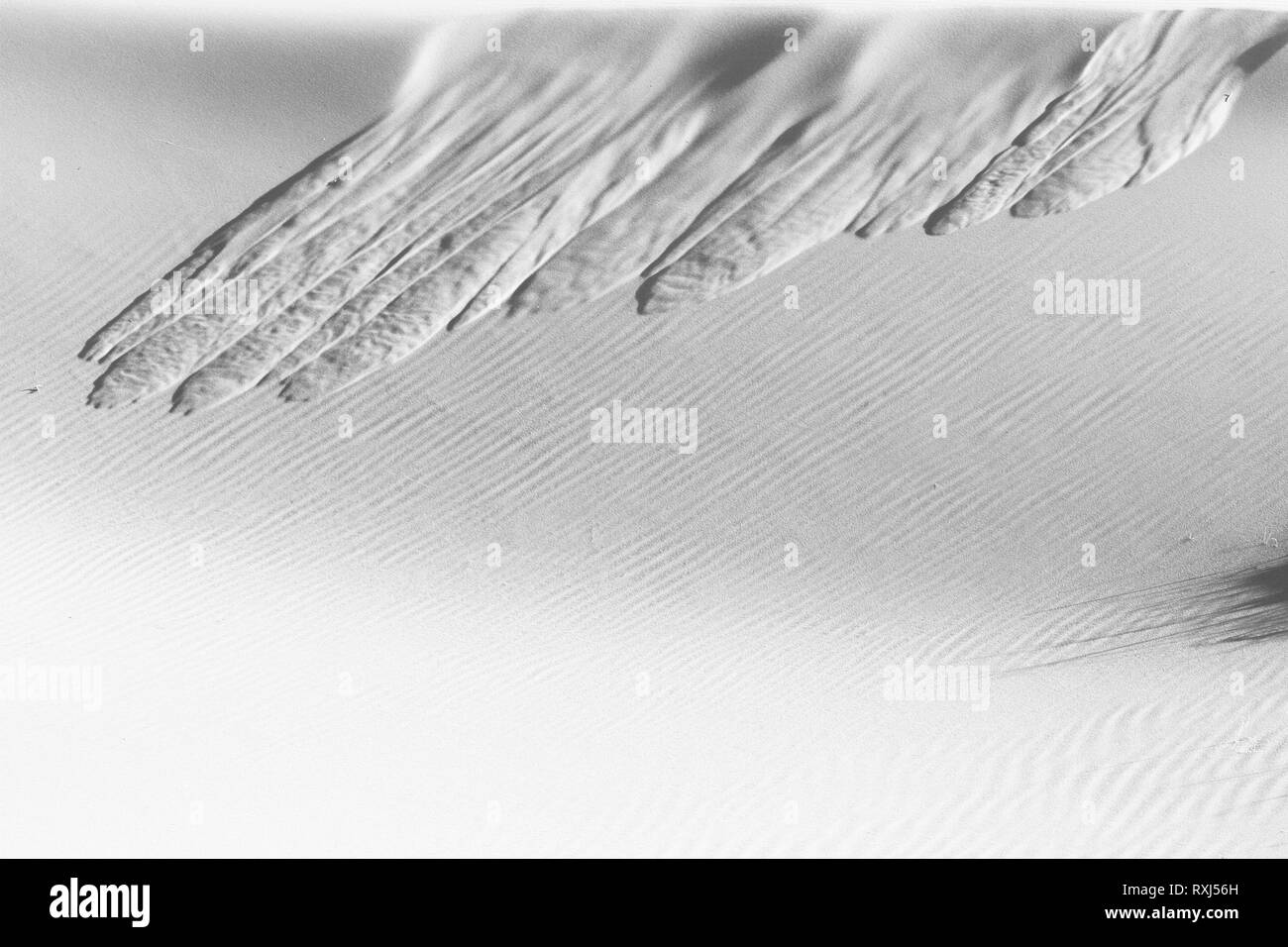 Sand lawine Schwarzweiß-Textur. Fließende sand Muster. Schwarz und Weiß detail Zusammenfassung Hintergrund. Close Up, Sand dune Oberfläche auf Wüste Sahara. Stockfoto