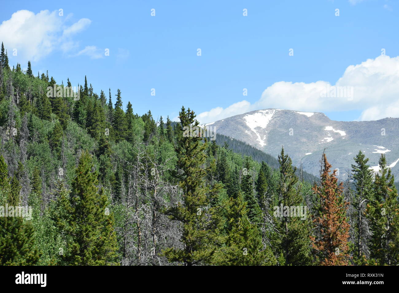 Wanderweg Ansichten in Boulder, Colorado Stockfoto