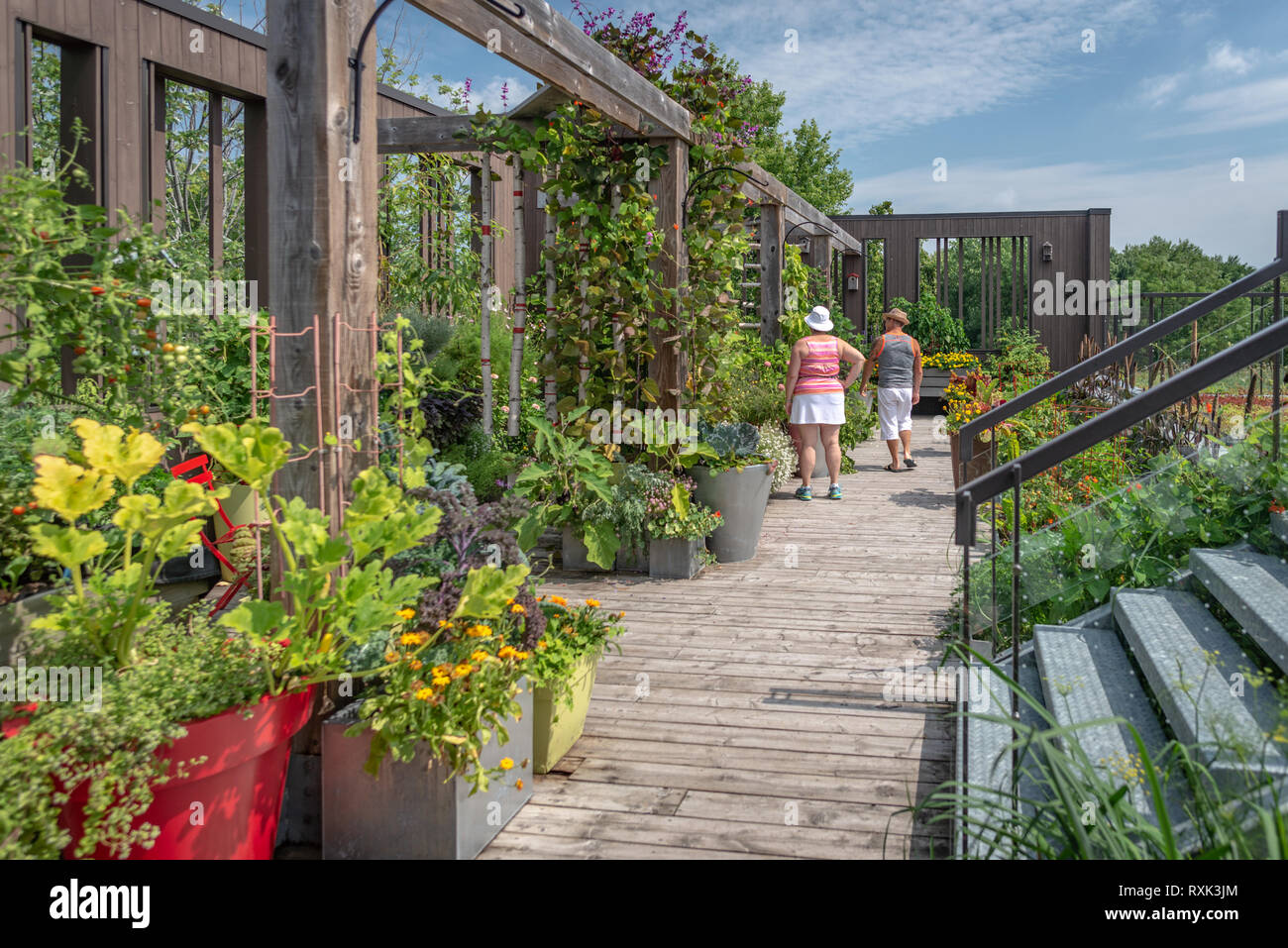 Besucher an Daniel A. Seguin Garten, Gemüse und Sommerblumen auf einen Dachgarten, Saint-Hyacinthe, Provinz Quebec, Kanada Stockfoto