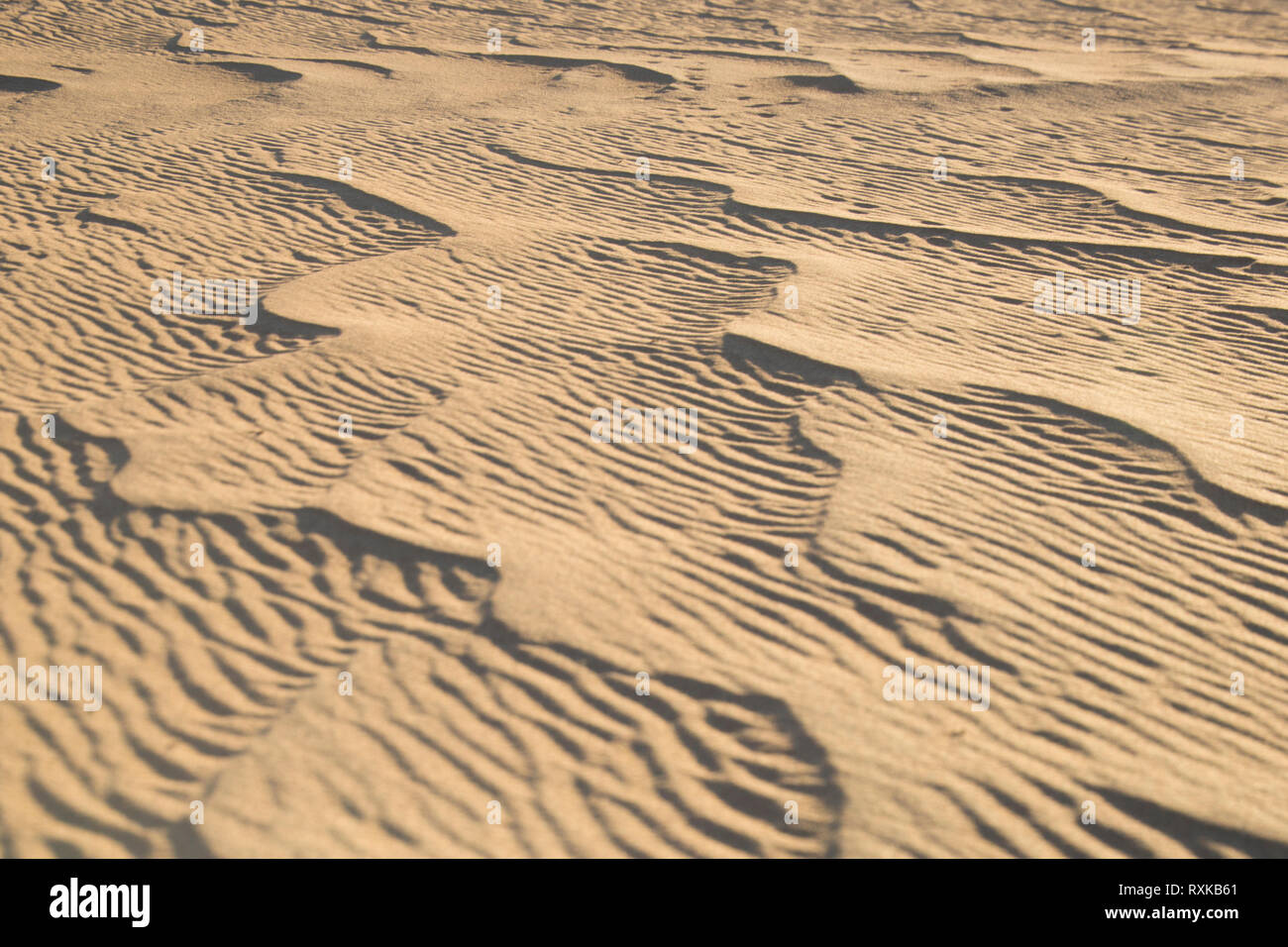 Abstrakte Linien in den Sand auf der Seite einer Sanddüne. Stockfoto
