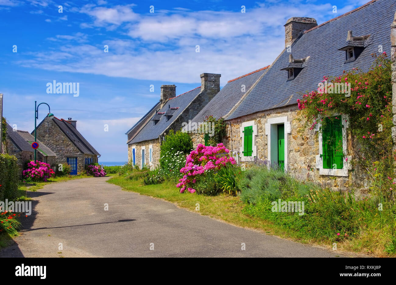 Typischen Alten Haus Und Hortensie Blume In Der Bretagne