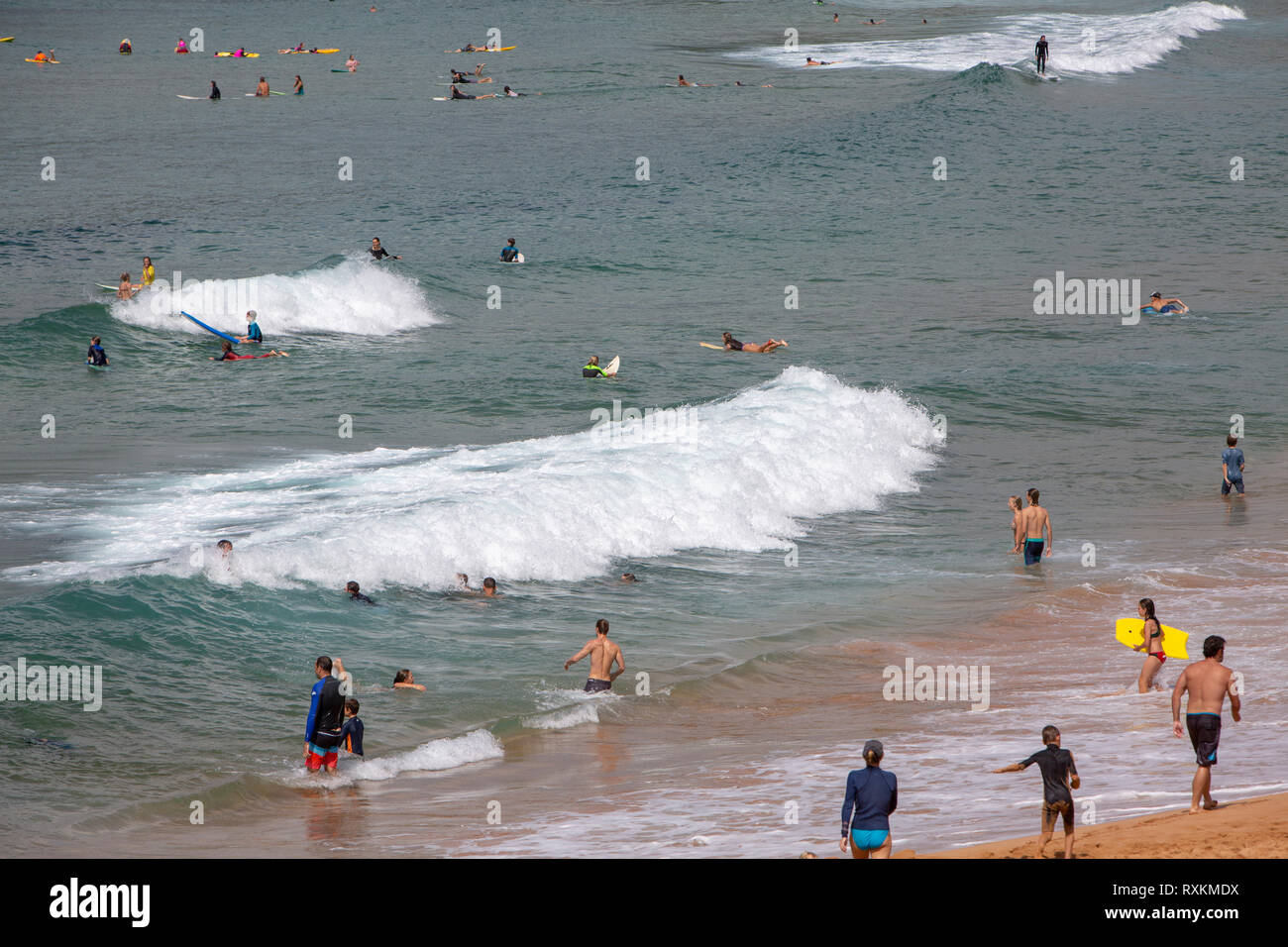 Surfer und Schwimmer im Meer aus Avalon Beach in Sydney, Australien Stockfoto