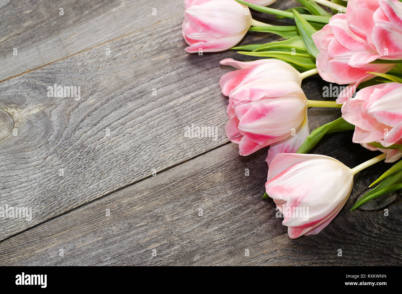 Blumenstrauß aus rosa Tulpen auf dem Hintergrund der alten hölzernen Brettern mit einem Platz für die Beschriftung, getönt. Stockfoto