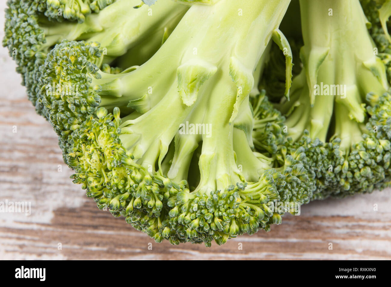 Frische natürliche grüne Brokkoli als gesunder Snack mit Vitaminen Stockfoto