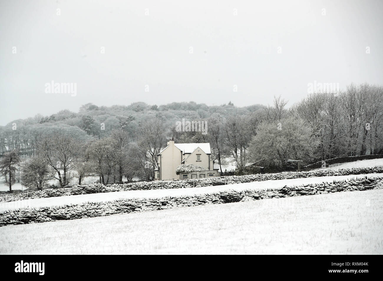 Schnee im Carlecotes, South Yorkshire. Stockfoto