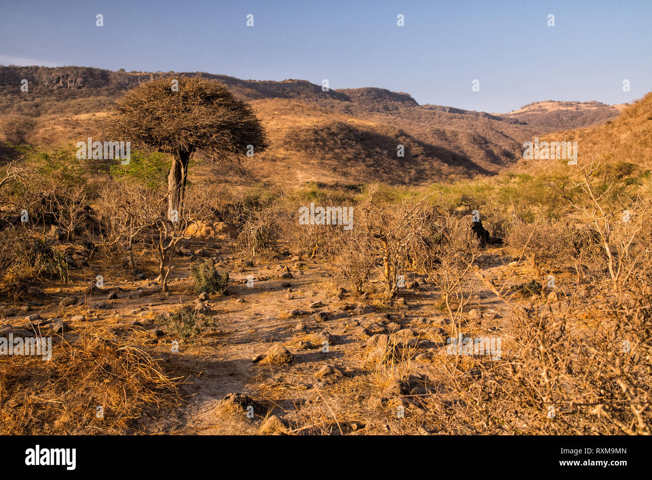 Dhofar Gebirge Landschaft. Tobruq. Oman Stockfoto