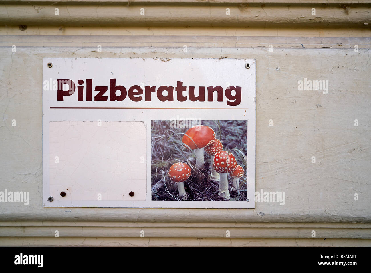 Pilz Advice Centre in Quedlinburg in Deutschland Stockfoto