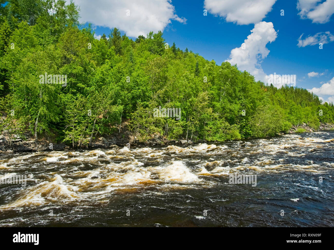 River in der Nähe von Atikokan, Ontario, Kanada Stockfoto