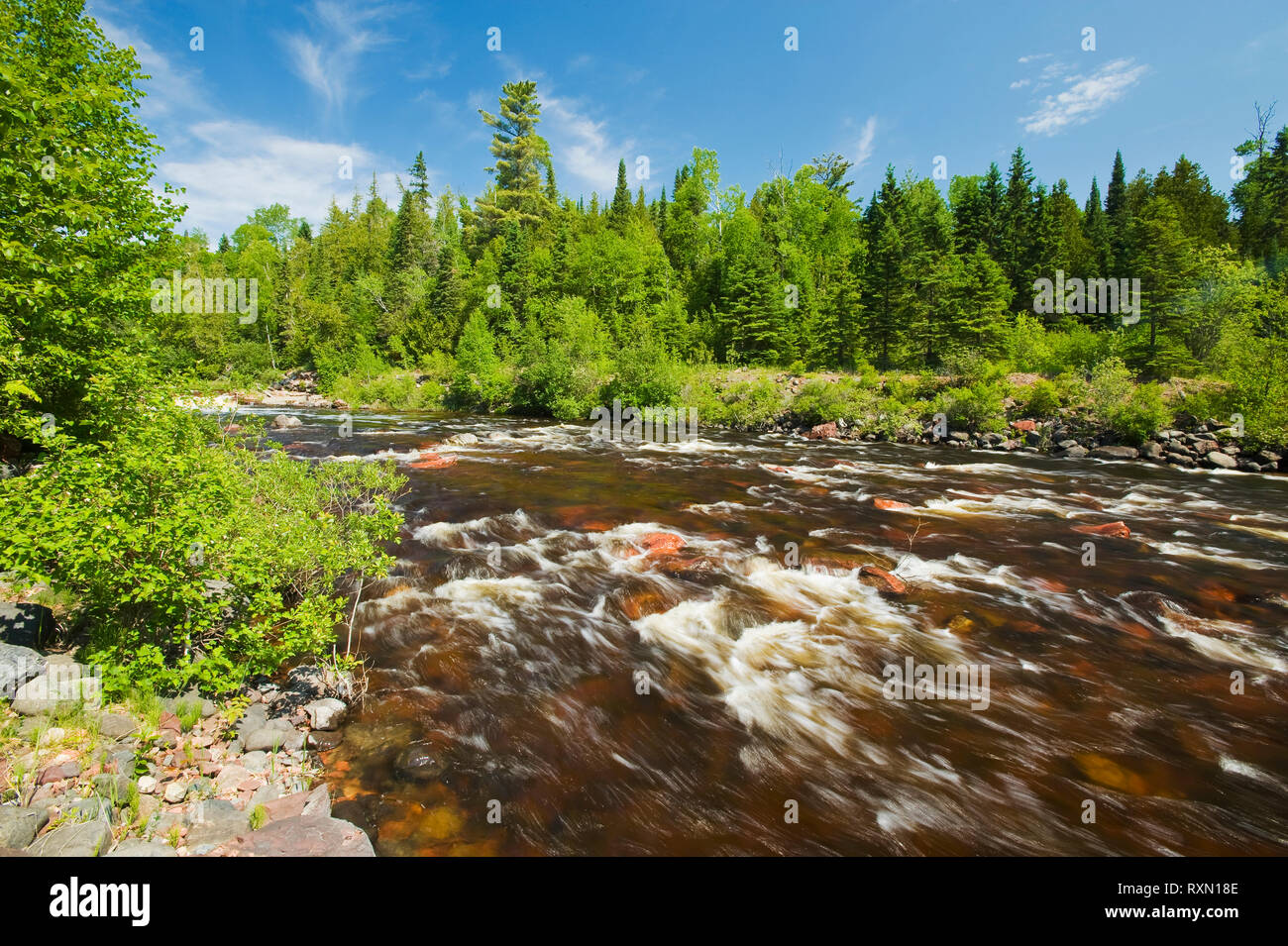 Wolf River westlich von Thunder Bay, Ontario, Kanada Stockfoto