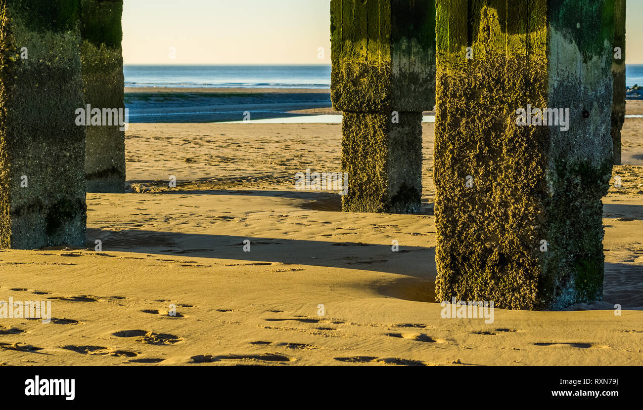 Verwitterter Stein Polen am Strand, mit Blick auf das Meer, die Landschaft der belgischen Küste. Stockfoto