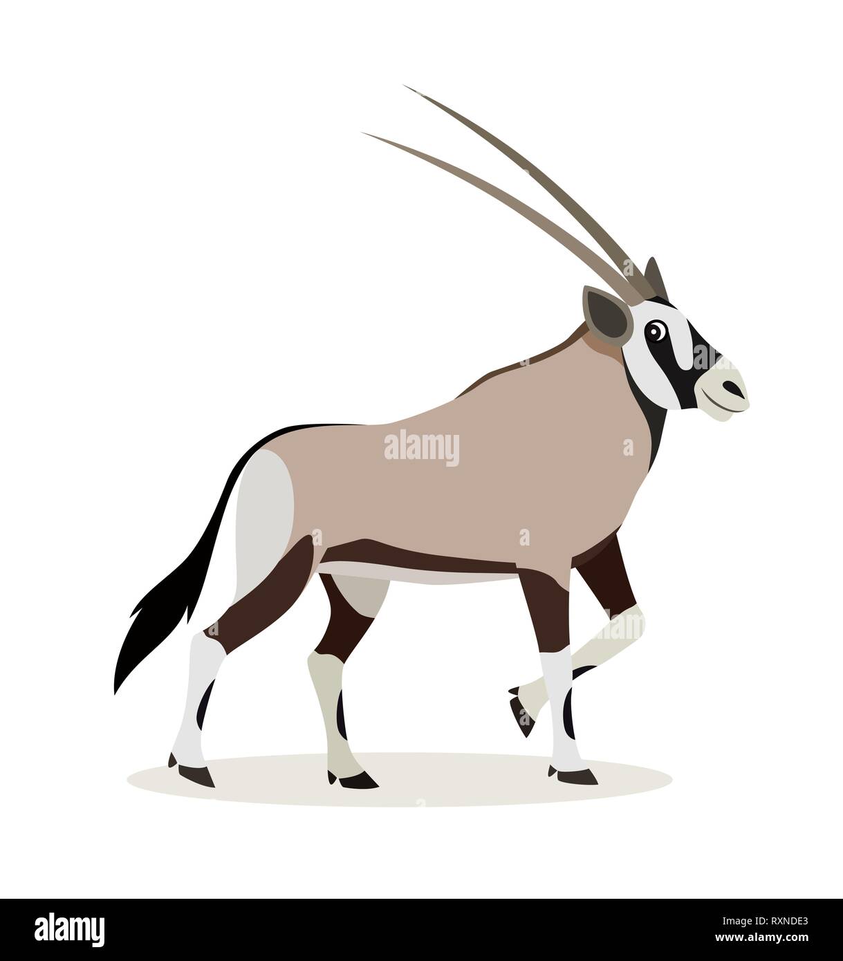 Afrikanische Tier, niedliche Oryx Antilopen, Gazellen auf weißem Hintergrund, Vektor Stock Vektor