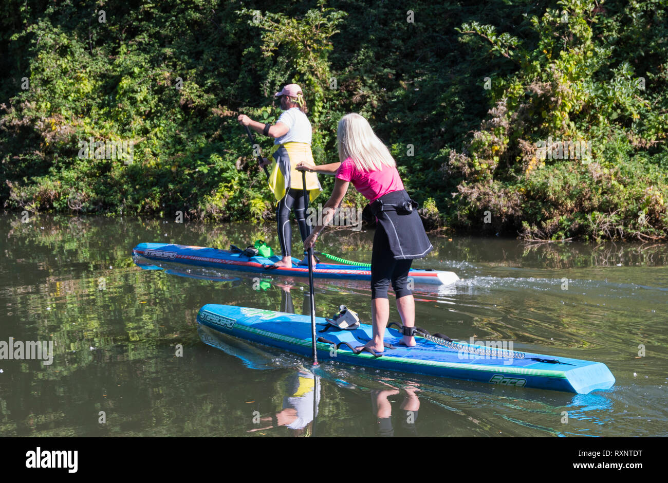 Mann und Frau auf Paddle Boards auf Kanal Chichester, West Sussex, UK. Paar Leute Paddle Boarding im Sommer. Paddleboard. Paddleboards. Stockfoto