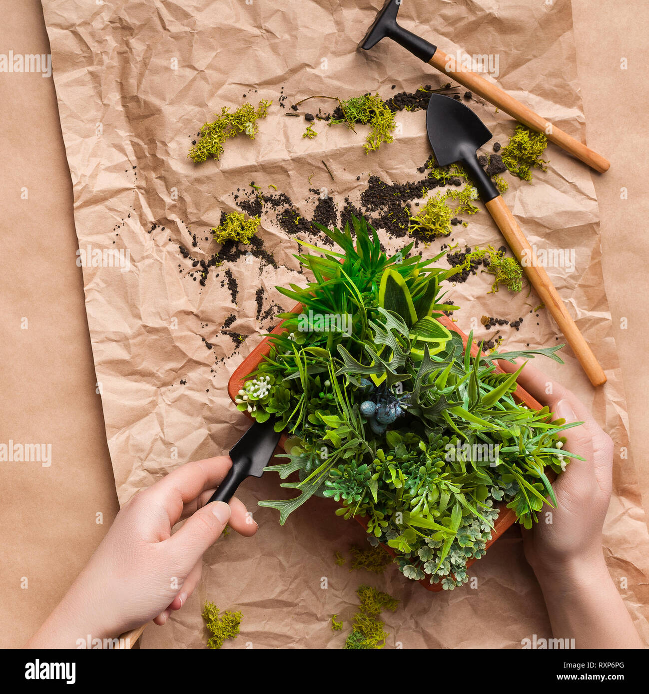 Gärtner Hände Pflanzen Blume im Topf auf Handwerk Papier Stockfoto