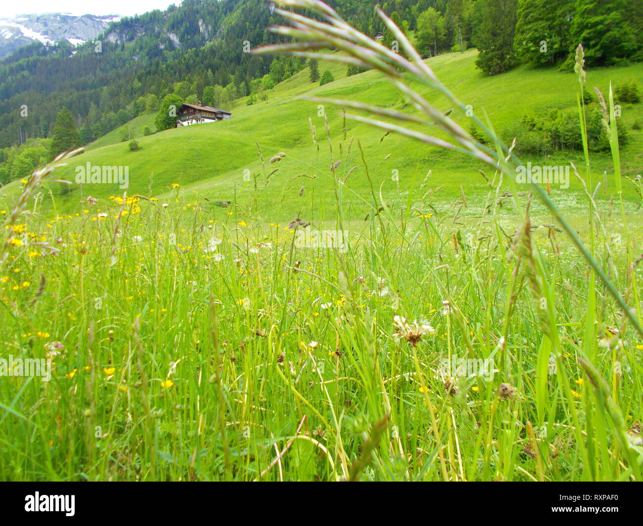 Bergwelt Stockfoto