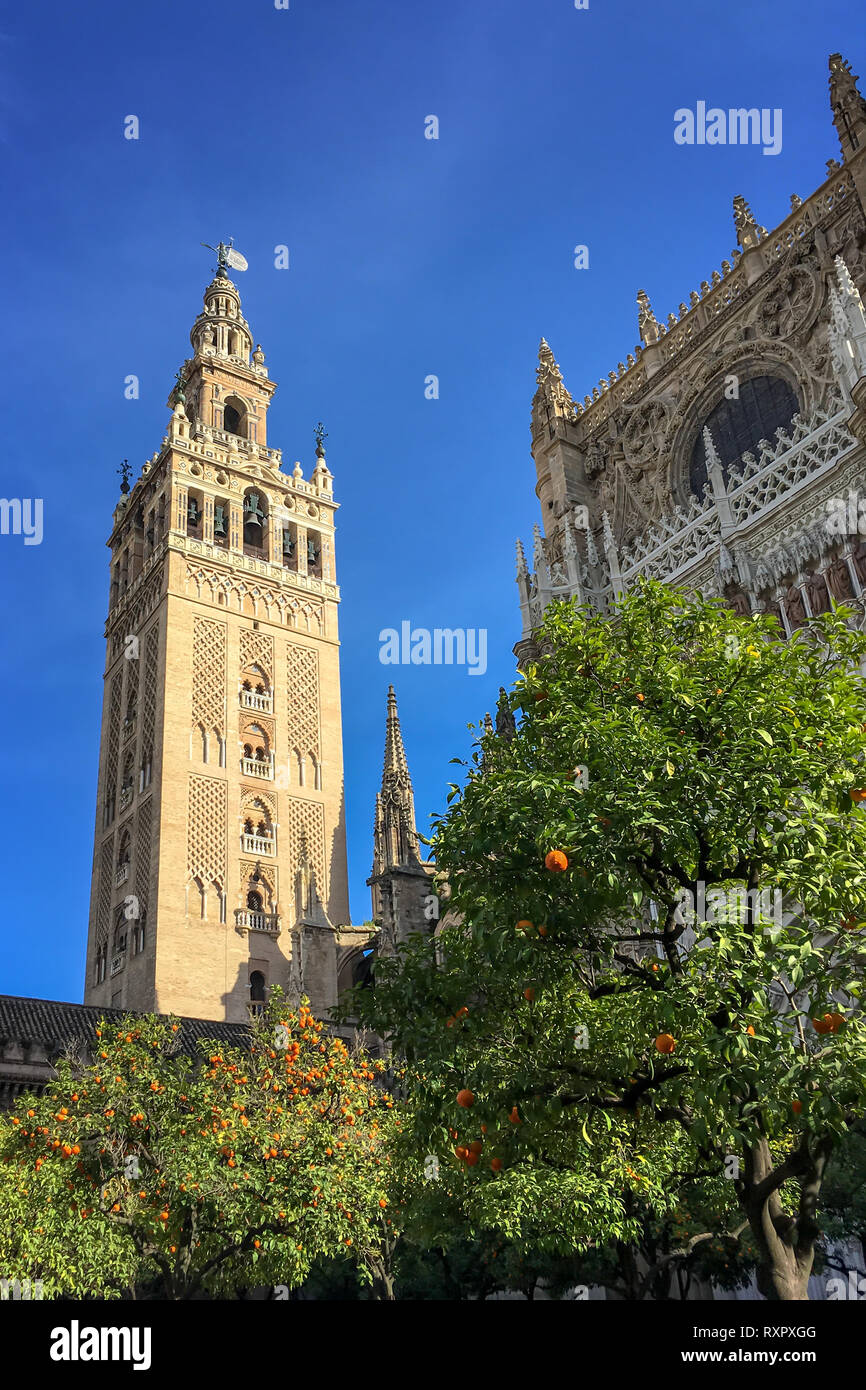 Die Giralda, Glockenturm der Kathedrale von Sevilla, Andalusien, Spanien Stockfoto