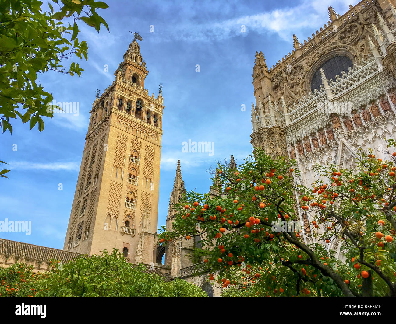 Die Kathedrale und der Giralda von Sevilla, Andalusien, Spanien Stockfoto