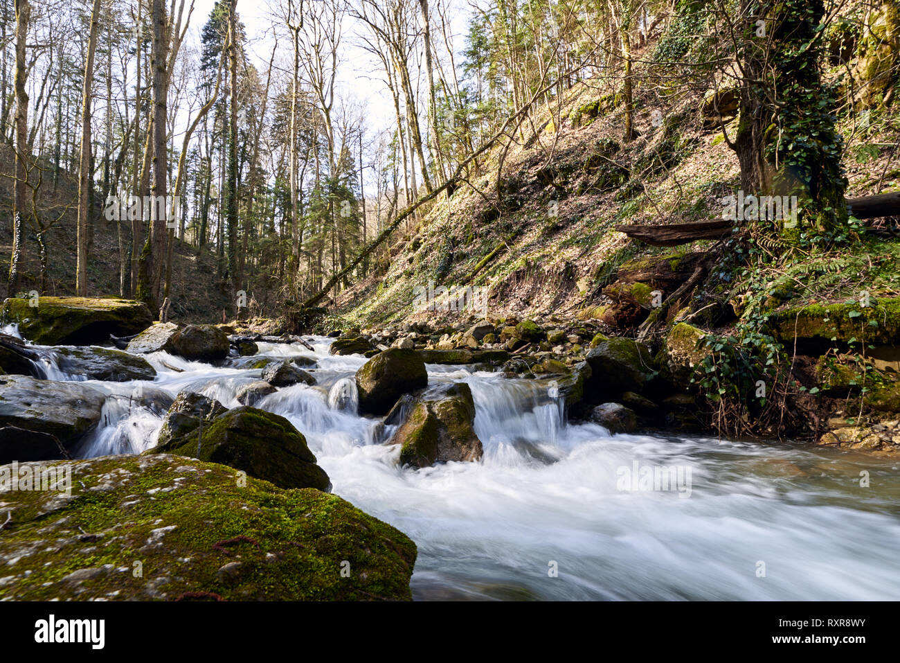 Gräben auf einem Berg Fluss fließt durch den Wald und Geröll bedeckt mit Moos Stockfoto