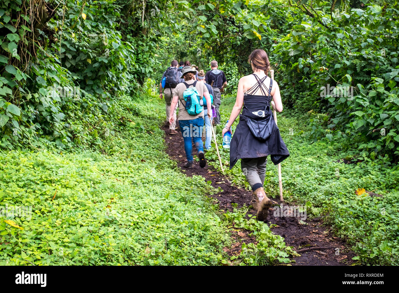 Wanderer Climbing Mount Nyiragongo in der Demokratischen Republik Kongo Stockfoto