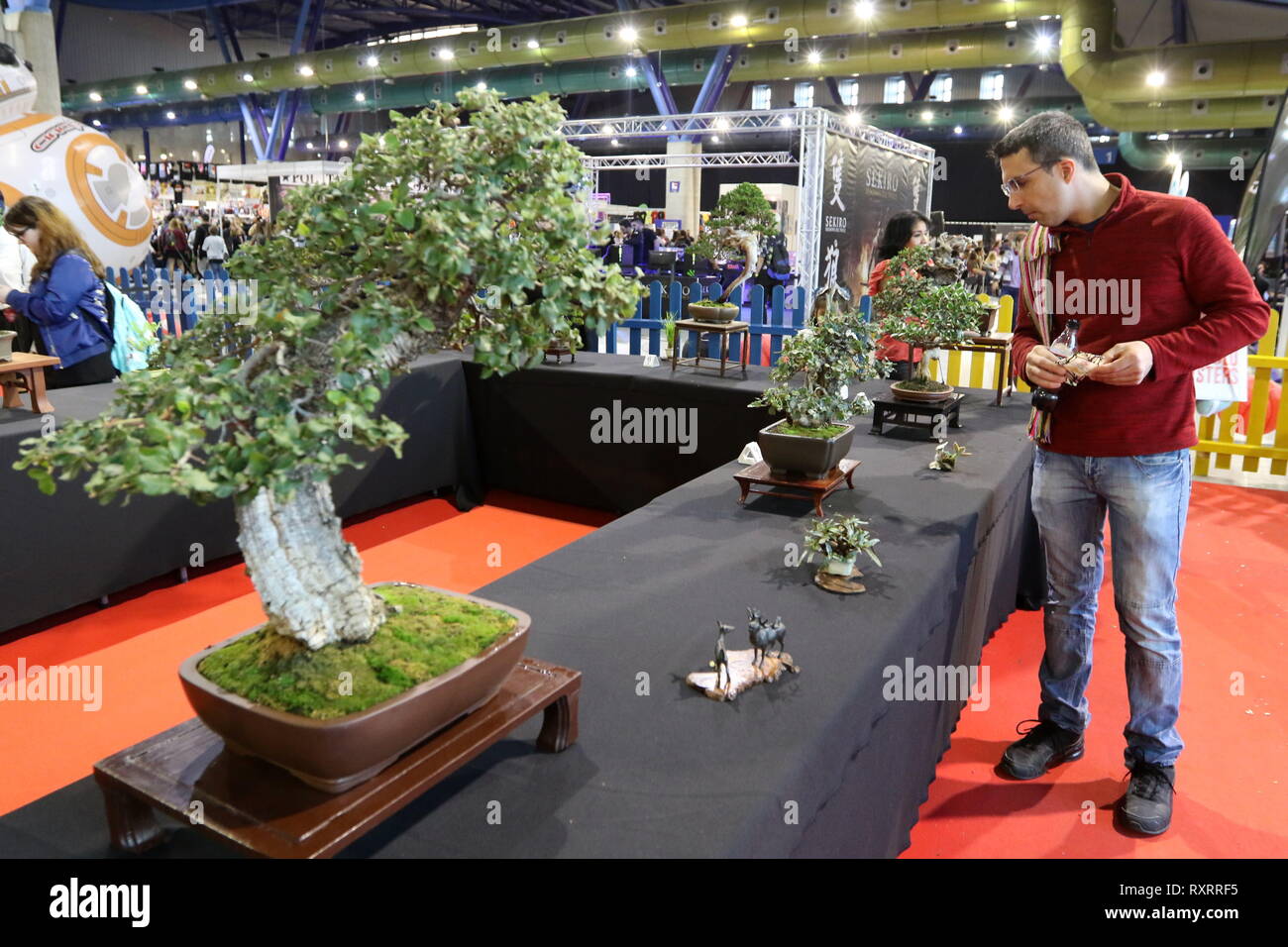 März 10, 2019 - 10 März 2019 (Malaga) FreakCon ist eine internationale Veranstaltung der populären Kultur in all seinen Erweiterungen zu feiern: TV-Serie, Manga, Comic, Animation, Film, Fantasy Literatur, Rollenspiele, Spiele, Science Fiction und Videospiele. Dieses Festival, das am 9. und 10. März 2019 im Palast der Kongresse und Messen von Malaga, wurde mit dem Ziel, zu einem Treffpunkt für Urheber, Künstler, Fans und die allgemeine Öffentlichkeit geboren. Credit: Lorenzo Carnero/ZUMA Draht/Alamy leben Nachrichten Stockfoto